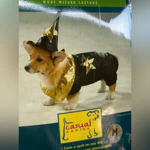 New wizard costume for dog - medium.  Hat and cape Halloween or pet parade.